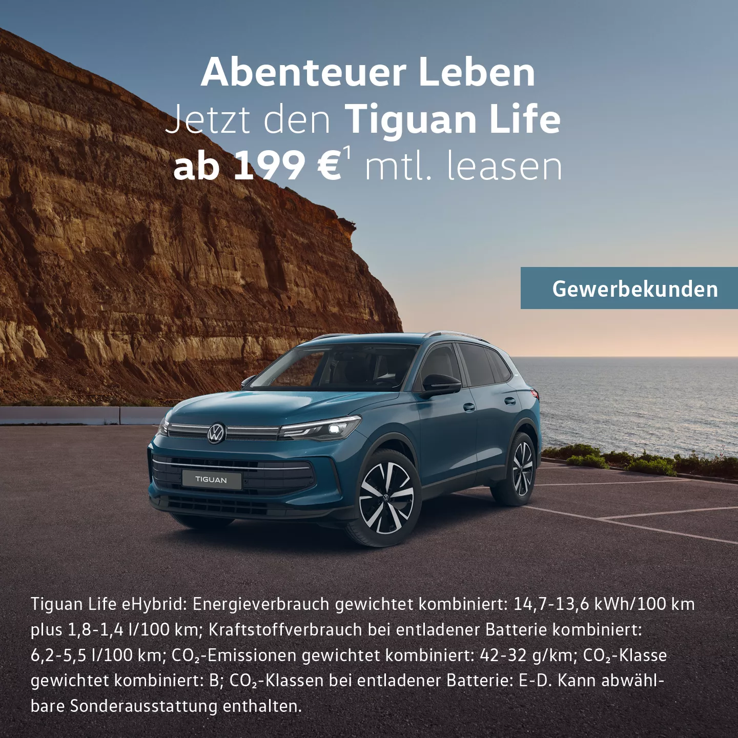 Tiguan Tiguan