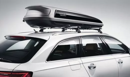 Audi Ski Gepaeckbox